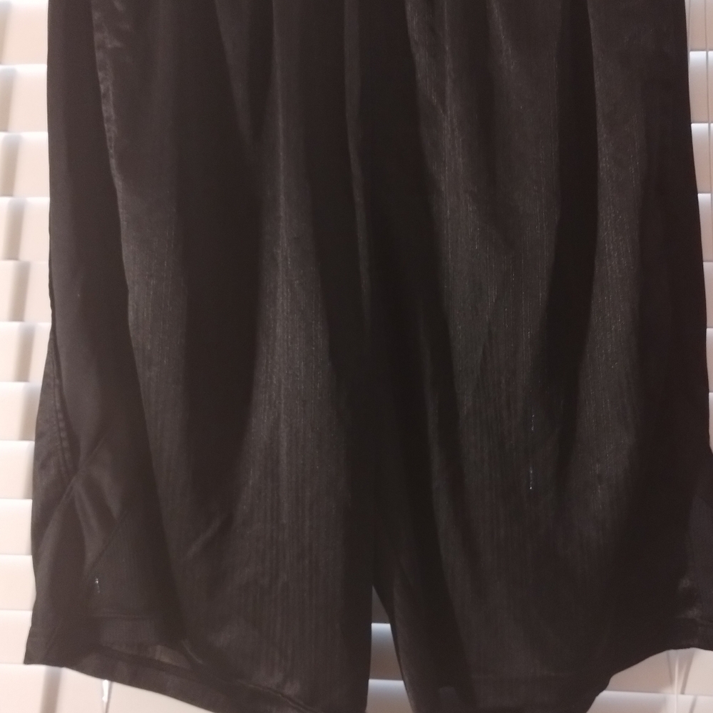 Nike shorts, size L